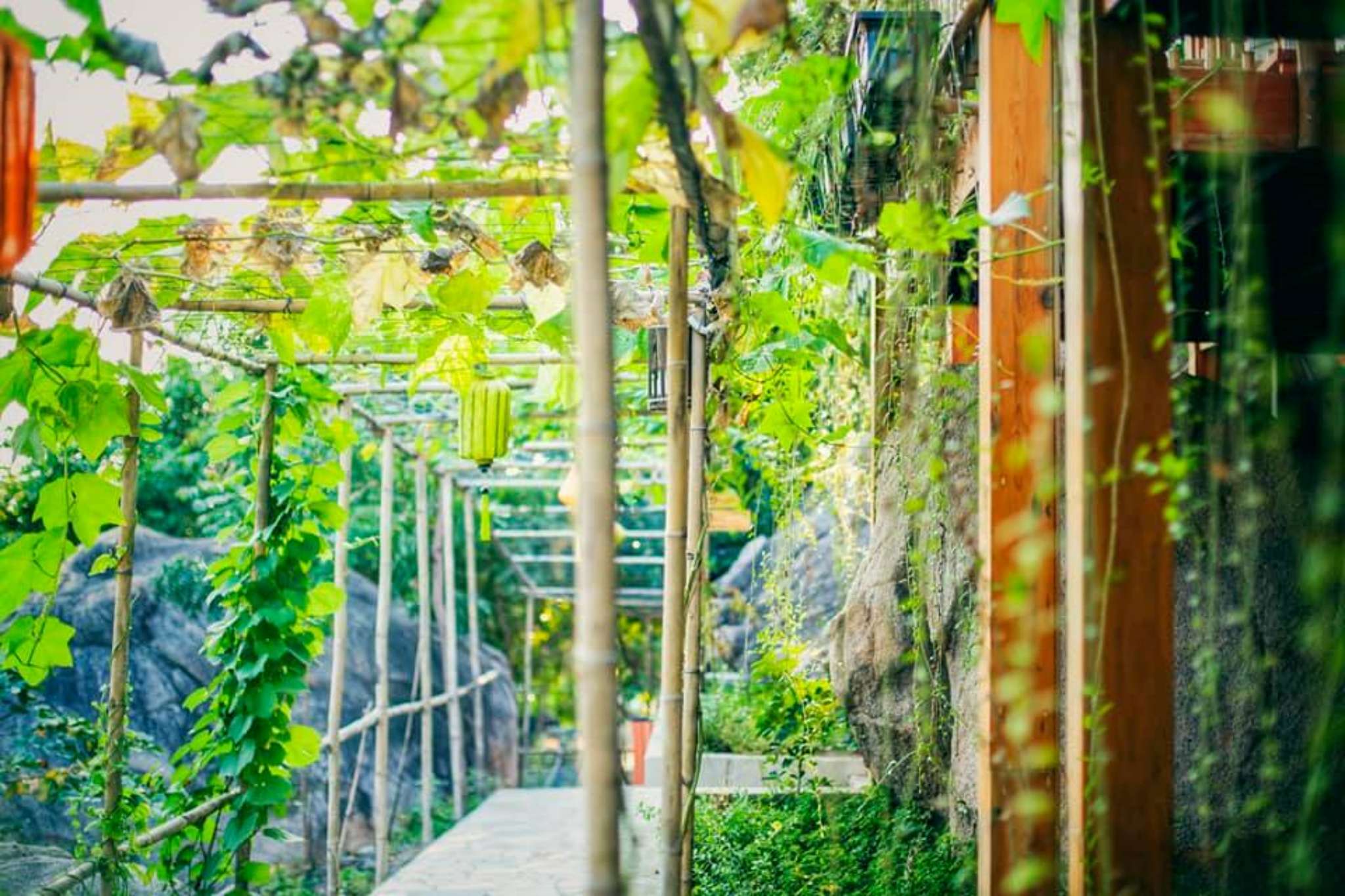 Không gian ngoài trời tại Escalade Experience 